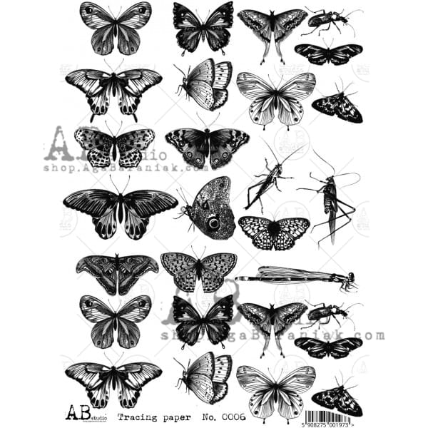 tracing-paper-0006.jpg