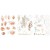 Rub-On Transfer 15x20 Vintage Artistry 3 arkusze - 49 and Market VAS-32952-1.jpeg