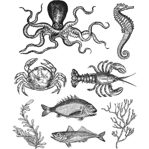 Zestaw stempli gumowych Sea Life Tim Holtz Stampers Anonymous CMS304-1.webp