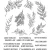 Zestaw stempli gumowych Sketch Greenery Tim Holtz Stampers Anonymous CMS429.webp