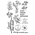 Zestaw stempli polimerowych Natura Lover - Prima 651602-1.webp