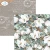Zestaw papierów do scrapbookingu 30x30 "Once in a Lifetime" - ELIZABETH craft designs C032-2.webp