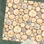 4503241-tree-rings-a-side.jpg