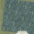 4503237-floral-fern-a-side.jpg