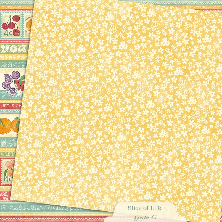 4503221-slice-of-life-borders-b-side.jpg