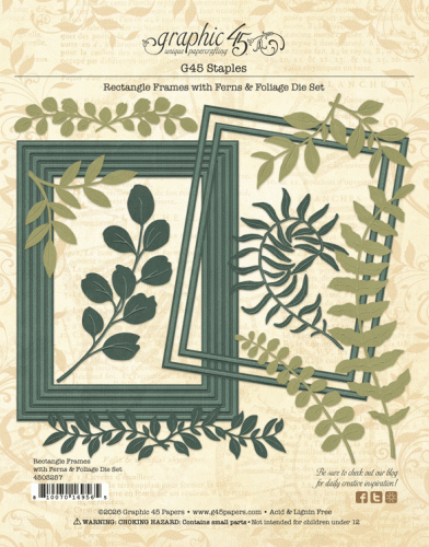 4503257-Rectangle-Frames-with-Ferns-Foliage-die-set-pkg-bck.gif