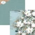 Zestaw papierów do scrapbookingu 30x30 "Once in a Lifetime" - ELIZABETH craft designs C032-13.webp