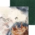 Zestaw papierów do scrapbookingu 15x15 - Magic World - Zoju Design