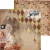Zestaw papierów do scrapbookingu 15x15 - Magic World - Zoju Design