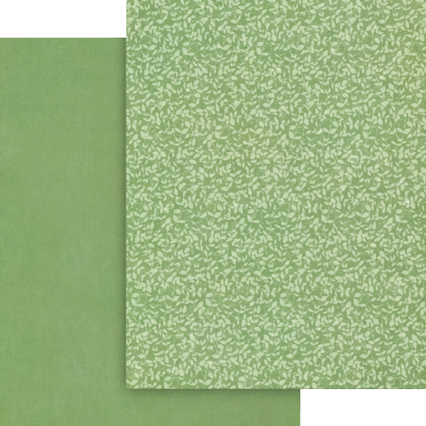 4503045-Fairy-Boutique-8.5x11-Patt-Solids-cvr 4.gif