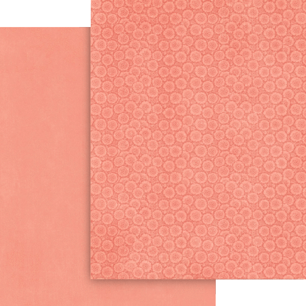 4503045-Fairy-Boutique-8.5x11-Patt-Solids-cvr 5.gif