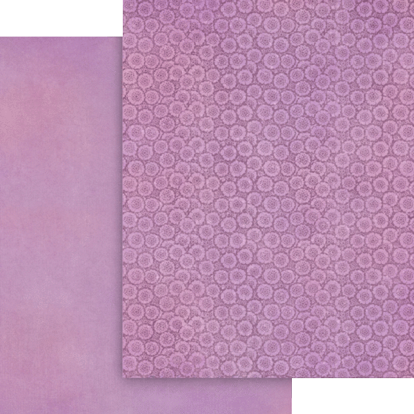 4503045-Fairy-Boutique-8.5x11-Patt-Solids-cvr 8.gif