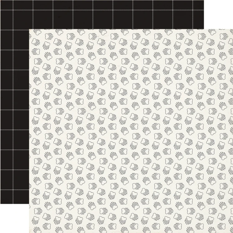 CBOUT542010_Bear_Tracks__41948.webp
