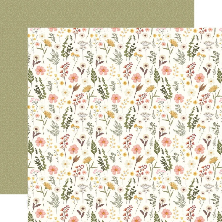 CBPF473013_Be_Bold_Stems__03774.webp