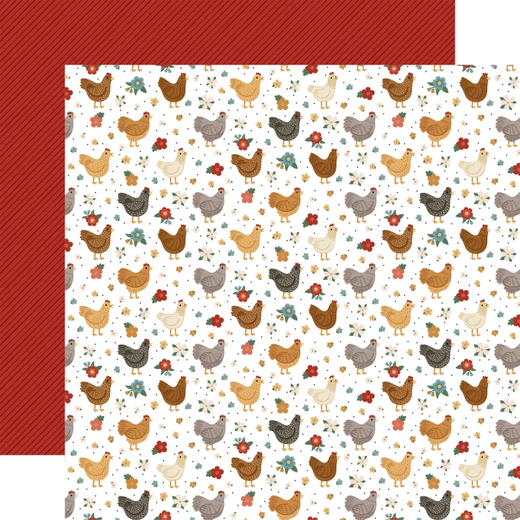 CK448002_Our_Coop_Chickens__06151.webp