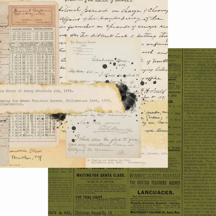 C020-4 Zestaw papierów do scrapbookingu 30x30 Christmas Field Notes - ELIZABETH craft designs