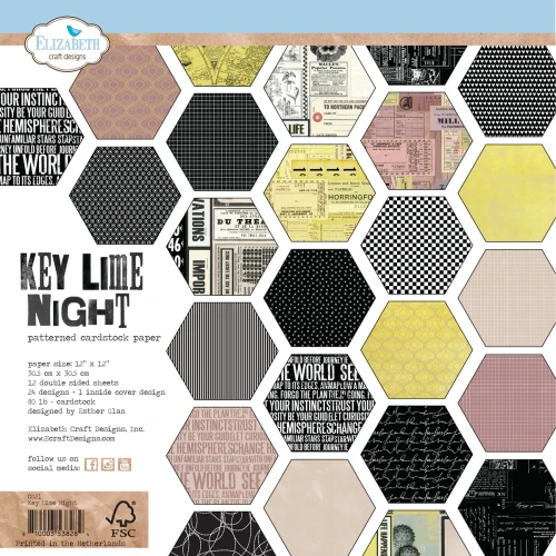 C021-1  Zestaw papierów do scrapbookingu 30x30 Key Lime Night - ELIZABETH craft designs