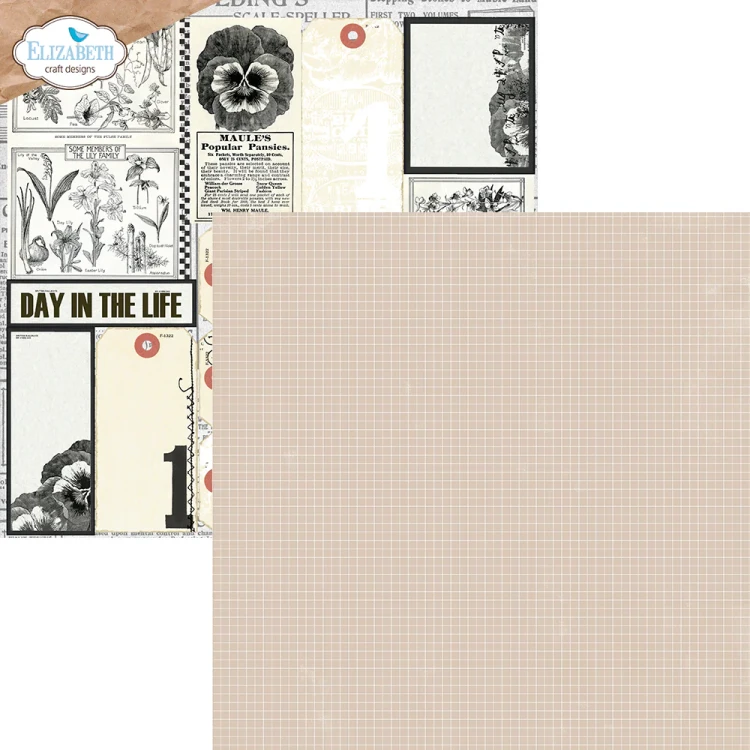C021-2  Zestaw papierów do scrapbookingu 30x30 Key Lime Night - ELIZABETH craft designs