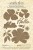 Botanical-Tea-Keepsake-peony-flower-hello-sentiment-Die-Set-pkg.jpg